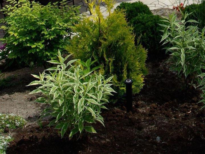 Installation système d’irrigation Laval